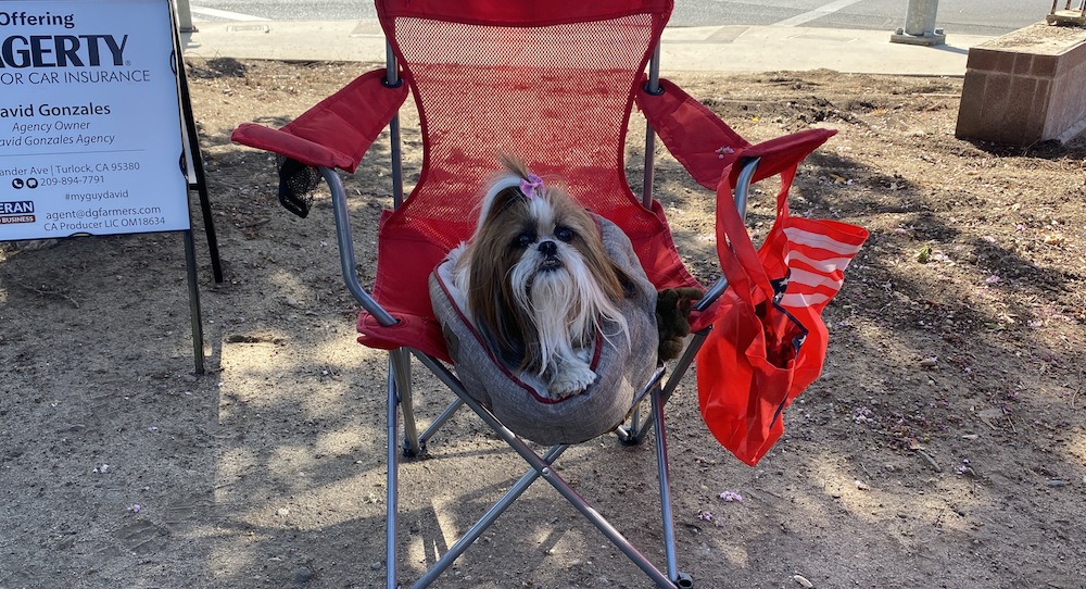 Cars & Coffee Oakdale 7/18/26